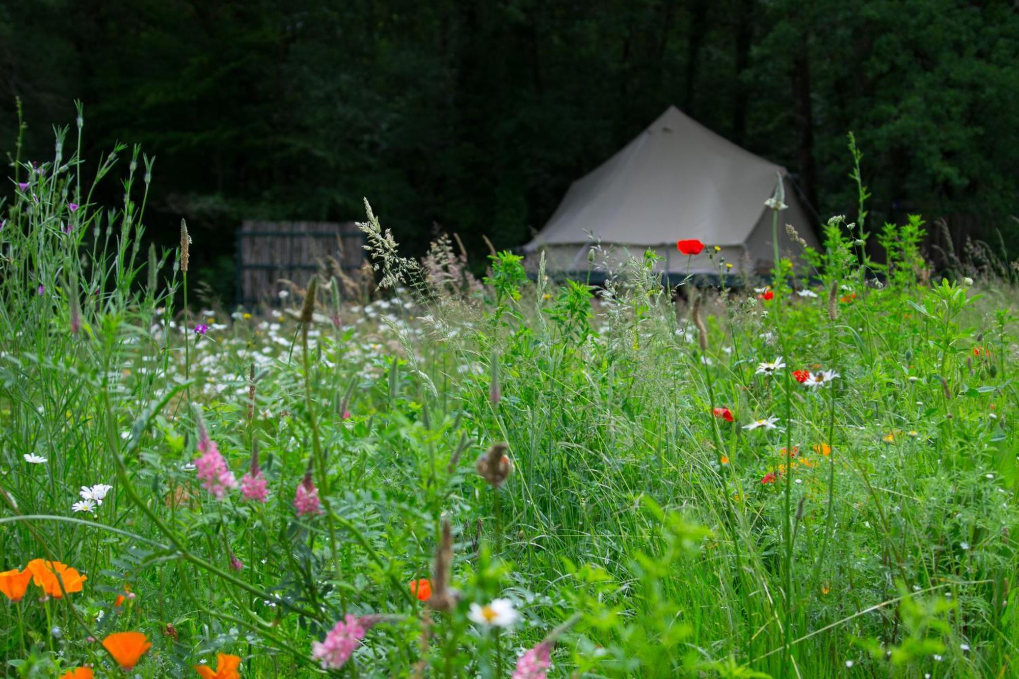 Belair Le Camping Champagnac-de-Bélair Екстериор снимка