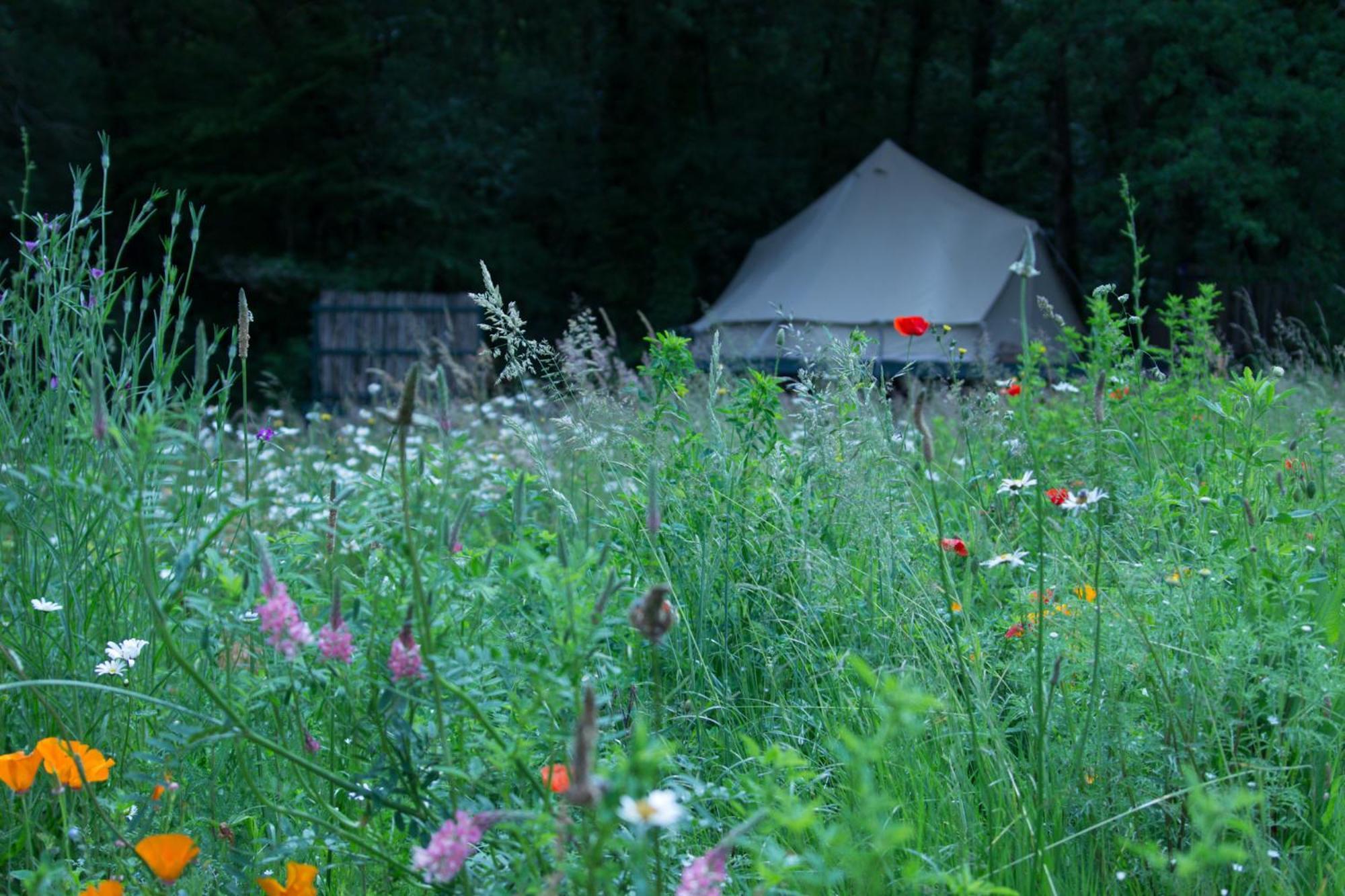 Belair Le Camping Champagnac-de-Bélair Екстериор снимка